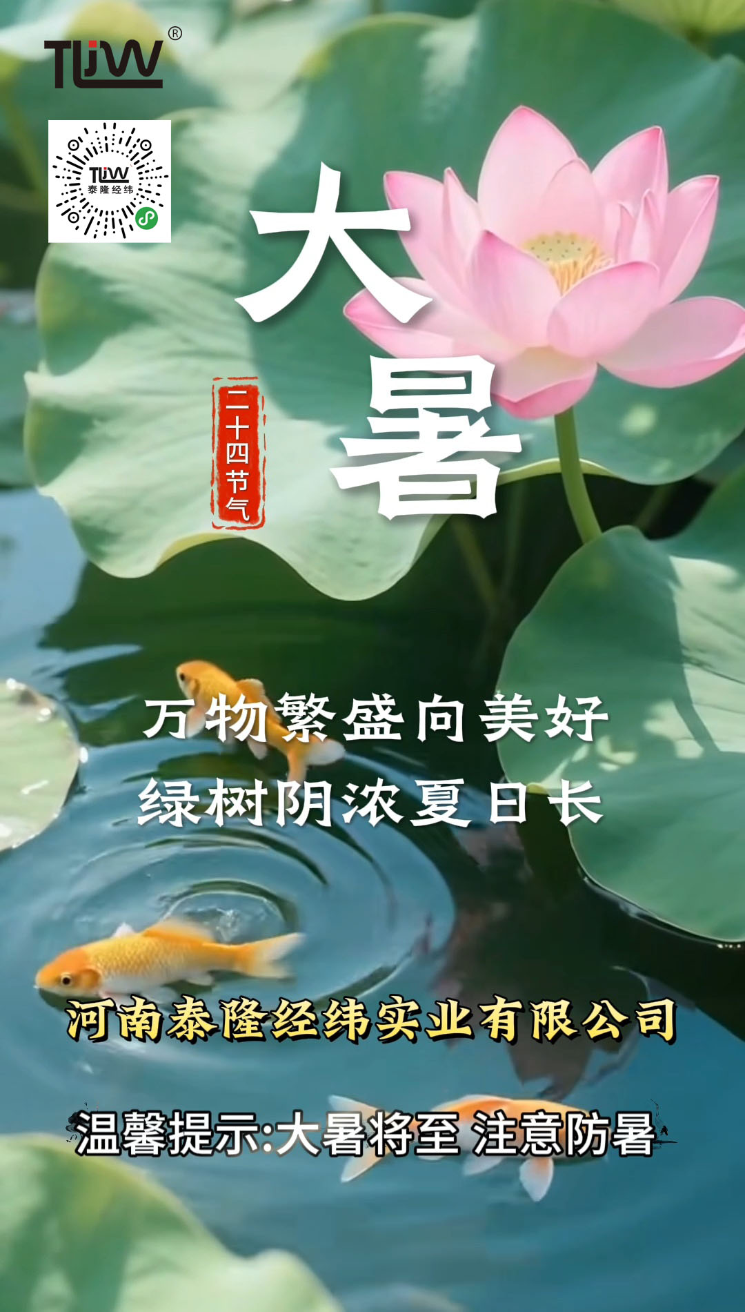 大暑副本.jpg