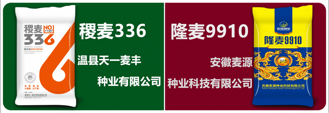天一麦丰麦源现代地神.gif